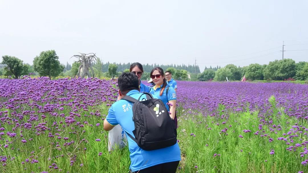 /uploads/image/2019/10/11/007fd21e087452fbedda1912260342df.jpg 2.jpg